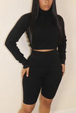 Casual Solid Turtleneck Long Sleeve Two Pieces