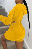 Fashion Casual Regular Sleeve Long Sleeve Hooded Collar Mini Solid Dresses