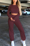 Casual Solid O Neck Long Sleeve Two Pieces