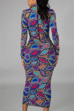 Fashion Casual Regular Sleeve Long Sleeve Half A Turtleneck Printed Dress Mid Calf Print Dresses