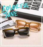 frame front acylic tinted cat eye sunglasses