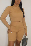 Casual Solid Turtleneck Long Sleeve Two Pieces