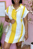 Fashion Casual Striped Print Basic Turndown Collar Shirt Dress