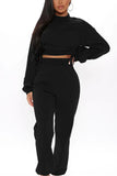 Casual Polyester Solid O Neck Long Sleeve Regular Sleeve Short Two Pieces