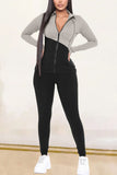Casual Solid Split Joint Turndown Collar Long Sleeve Two Pieces