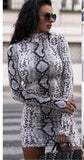 turtleneck long sleeve printed dress