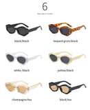 small irregular retro sunglasses