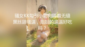 国产麻豆AV 涩会 SH013 女优面试日记 吴心语