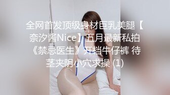 小宝寻花艺术系小姐姐