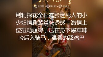 厕拍经典之作，冰尘系列之模特厕拍！ (16)