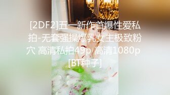 顽皮的巨乳女仆斯特拉考克斯她的肛门乱搞大鸡巴老板