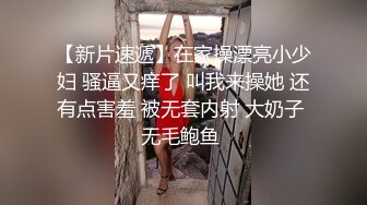 麻豆传媒 mcy-0107 爆操我的淫荡小野猫嫩妻-项子甯