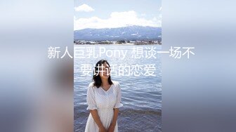   新人巨乳Pony 想谈一场不要讲话的恋爱