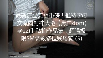 皇家华人 ras-271 新年人体书法 爸爸的书法教学时间-黎儿_