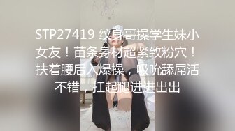 【天美传媒】情侣出游互换女友-陳以萱