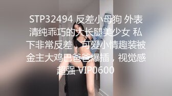 灰丝高挑模特极品女神，和中年男友的日常性爱