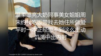 温柔漂亮大奶同事美女姐姐周末约我吃饭带我去她住所做爱平时一本正经想不到这么主动饥渴中出内射