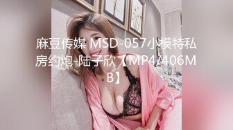 麻豆传媒 MSD-057小模特私房约炮-陆子欣【MP4/406MB】