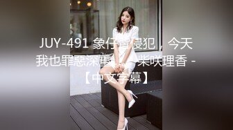 JUY-491 象仔背侵犯，今天我也罪惡深重…。 柴咲理香 -【中文字幕】