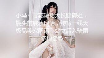 小马丶寻花短裙大长腿御姐，镜头前展示口活，特写一线天极品美穴肥逼，站立后入骑乘多种姿势