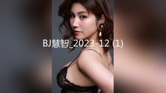 BJ慧智_2023-12 (1)