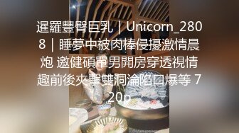 暹羅豐臀巨乳｜Unicorn_2808｜睡夢中被肉棒侵擾激情晨炮 邀健碩單男開房穿透視情趣前後夾擊雙洞淪陷口爆等 720p