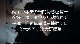 蜜桃影像PM059被迫诈骗的女网红在园区挨