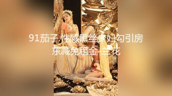 91茄子.性感黑丝少妇勾引房东减免租金-兰花