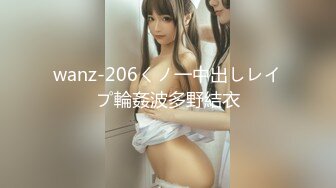 wanz-206くノ一中出しレイプ輪姦波多野結衣