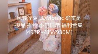 风骚淫荡 EDMosaic 确实是极品 推特 小巴日常 福利合集[493P+41V/930M]