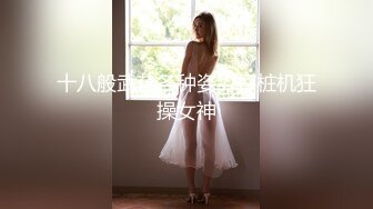 十八般武艺各种姿势打桩机狂操女神