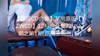 【精品CD合集】某房原版【YZWCD】12月份合集72V分2期之第1期[超清原画质] (9)