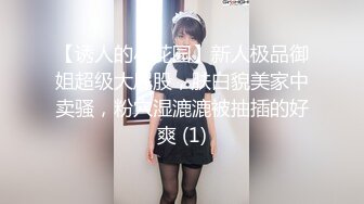 精品福利！推特玩女调教大神91MrOrang私拍，车模、外围、学生妹各种极品小姐姐，能肏能SM有钱都是小母狗 (4)