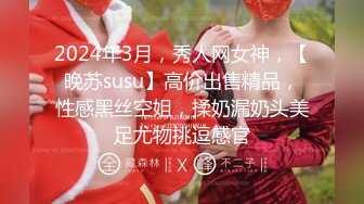 2024年3月，秀人网女神，【晚苏susu】高价出售精品，性感黑丝空姐，揉奶漏奶头美足尤物挑逗感官