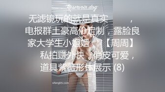 女搜查官特殊手段