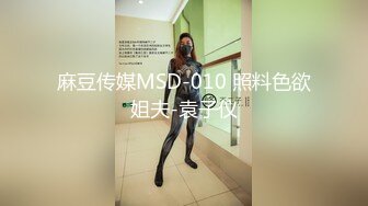 麻豆传媒MSD-010 照料色欲姐夫-袁子仪