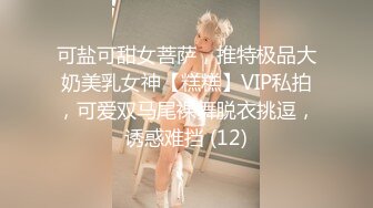 可盐可甜女菩萨，推特极品大奶美乳女神【糕糕】VIP私拍，可爱双马尾裸舞脱衣挑逗，诱惑难挡 (12)