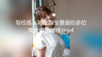 [日本JVRPorn] Aizawa Haruka Private Teacher 逢沢はるか