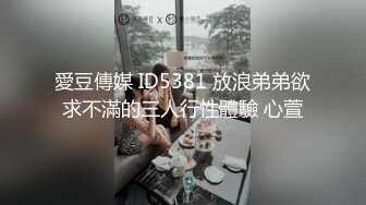 愛豆傳媒 ID5381 放浪弟弟欲求不滿的三人行性體驗 心萱