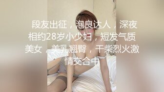   段友出征，泡良达人，深夜相约28岁小少妇，短发气质美女，美乳翘臀，干柴烈火激情交合中