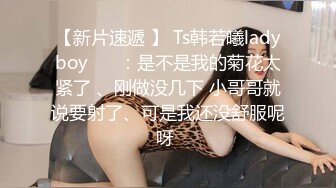 【仙女下凡】CD猫儿 颜值赛过西施，闪闪的眼睛大耳环，被自己美艳的容貌惊到，丝滑丝袜摩擦鸡儿，爽！