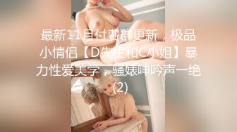 顶级调教甄选2 带环淫戏虐操 乳环阴环穿刺调教母狗女奴 带环淫戏调教Plus