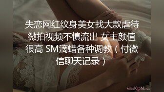 起点传媒 性视界传媒 XSJ074 以身抵车费的美女