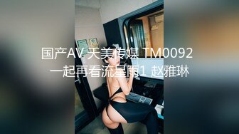 国产AV 天美传媒 TM0092 一起再看流星雨1 赵雅琳