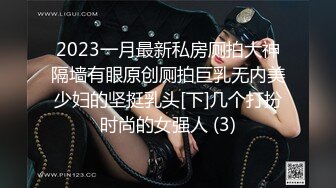 2023一月最新私房厕拍大神隔墙有眼原创厕拍巨乳无内美少妇的坚挺乳头[下]几个打扮时尚的女强人 (3)