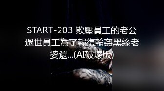 START-203 欺壓員工的老公過世員工為了報復輪姦黑絲老婆還...(AI破壞版)