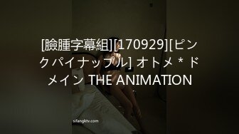 [臉腫字幕組][170929][ピンクパイナップル] オトメ＊ドメイン THE ANIMATION