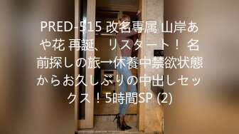 PRED-515 改名専属 山岸あや花 再誕、リスタート！ 名前探しの旅→休養中禁欲状態からお久しぶりの中出しセックス！5時間SP (2)