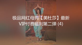 极品网红母狗【美杜莎】最新VIP付费福利第二弹 (4)