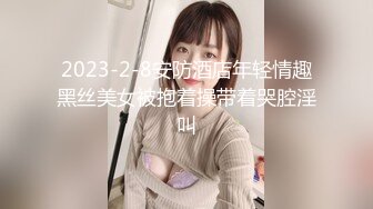 2023-2-8安防酒店年轻情趣黑丝美女被抱着操带着哭腔淫叫